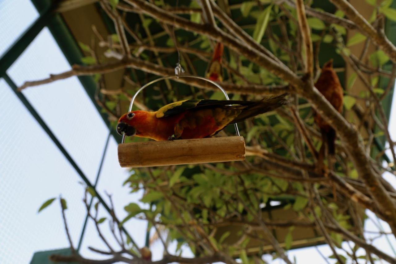 Manas Resort With Petting Zoo, Igatpuri Bagian luar foto