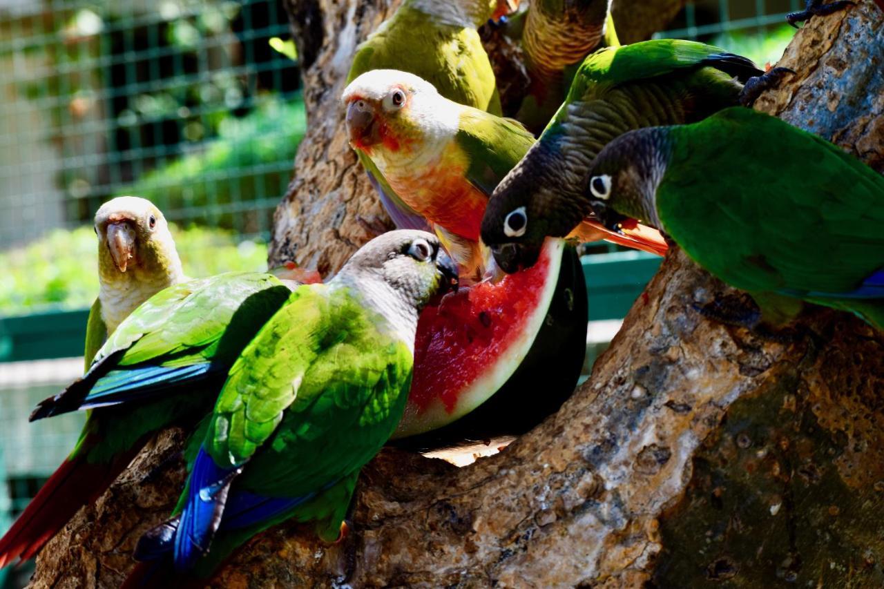 Manas Resort With Petting Zoo, Igatpuri Bagian luar foto